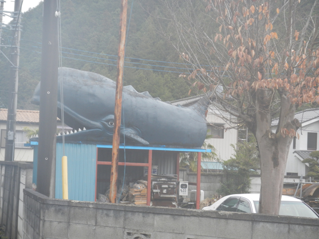 雨煙の中の例のクジラ